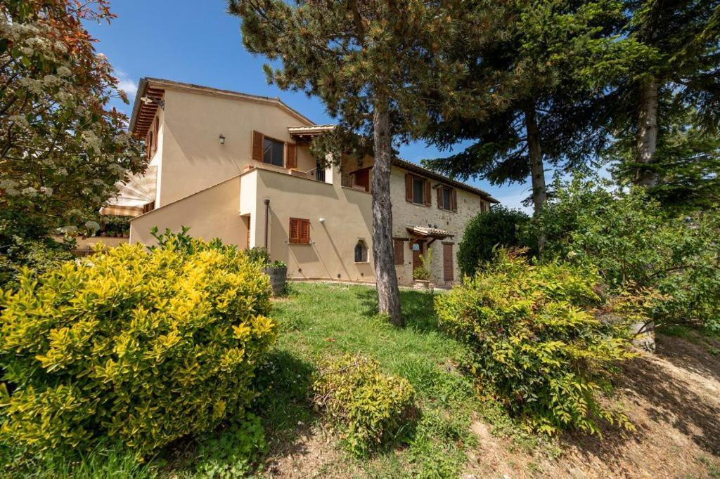 Apartment Colle Della Pace