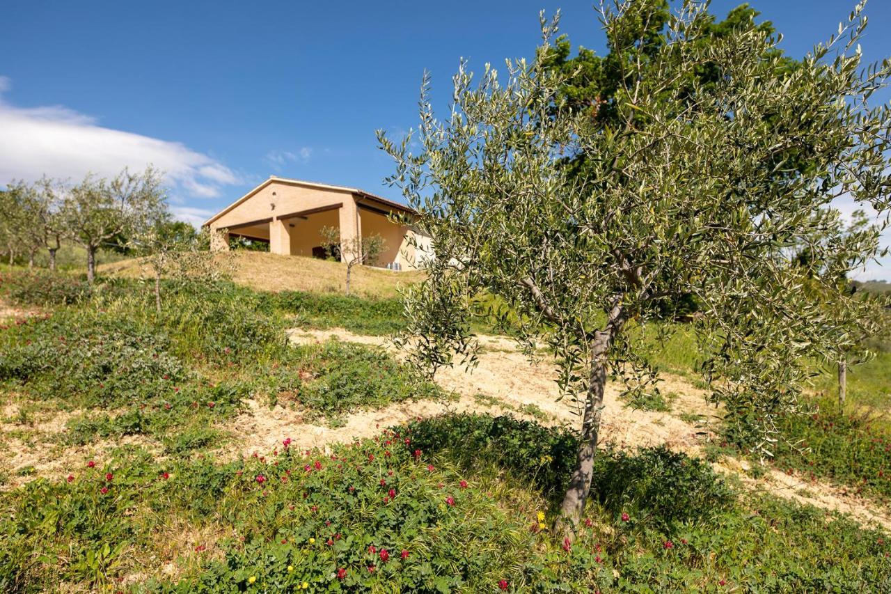 Apartment Colle Della Pace *