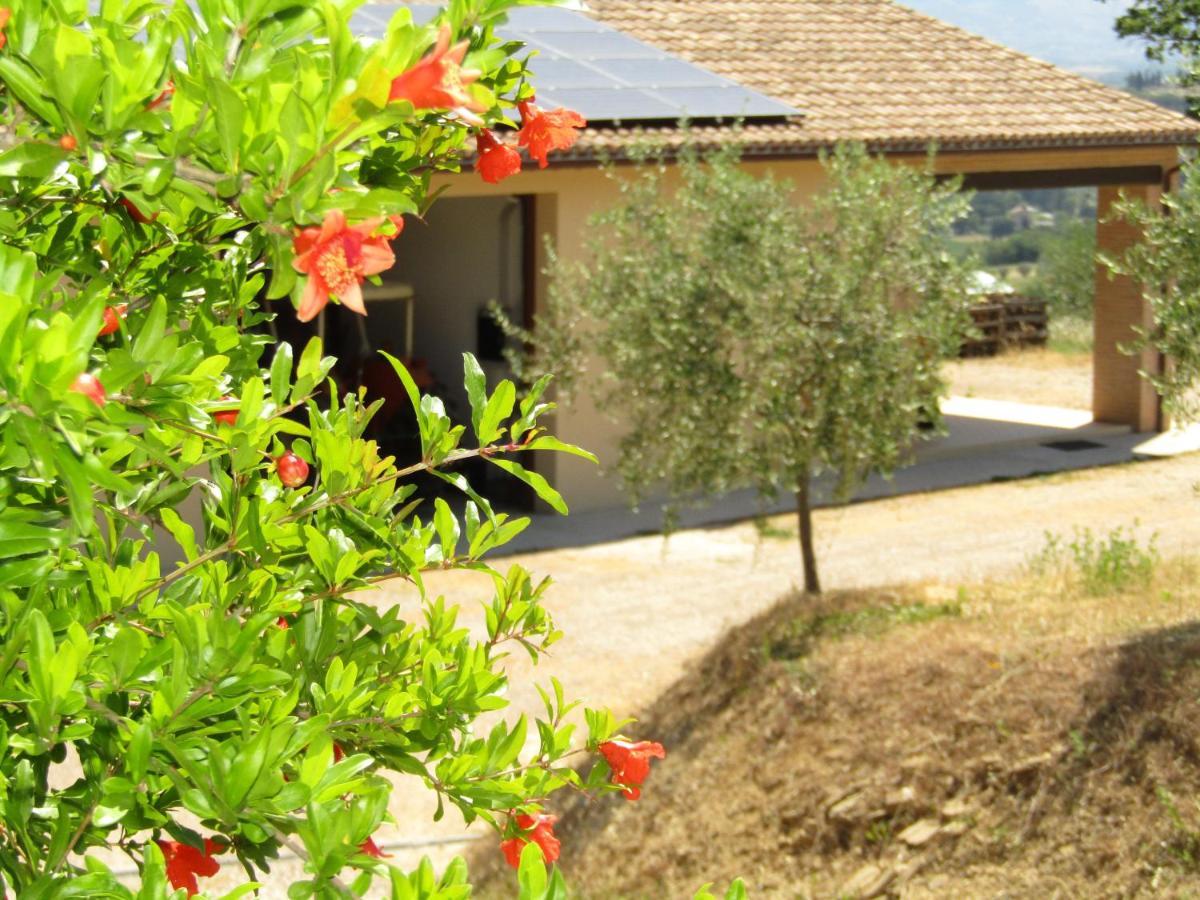 Apartment Colle Della Pace Bevagna