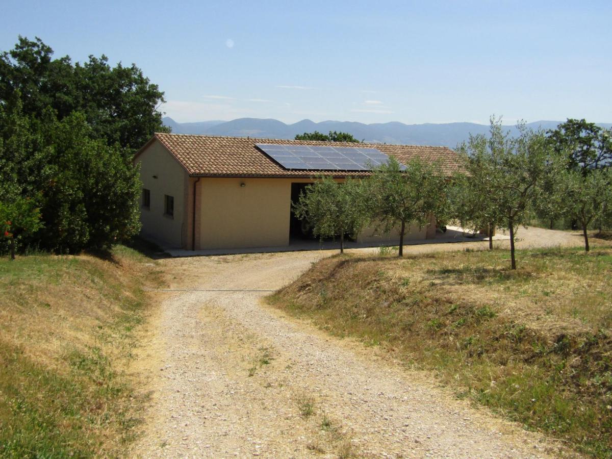 Colle Della Pace *