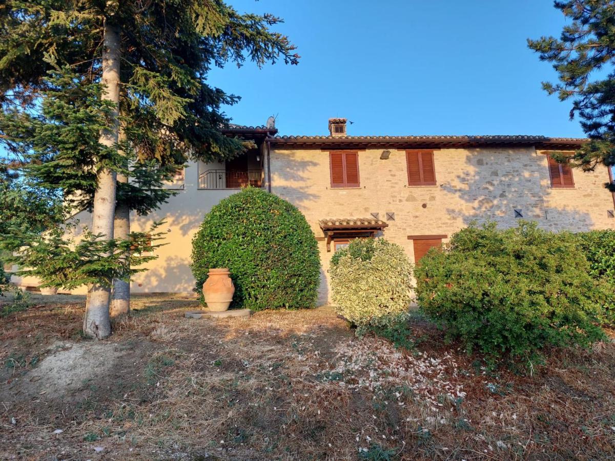 Colle Della Pace Apartment Bevagna
