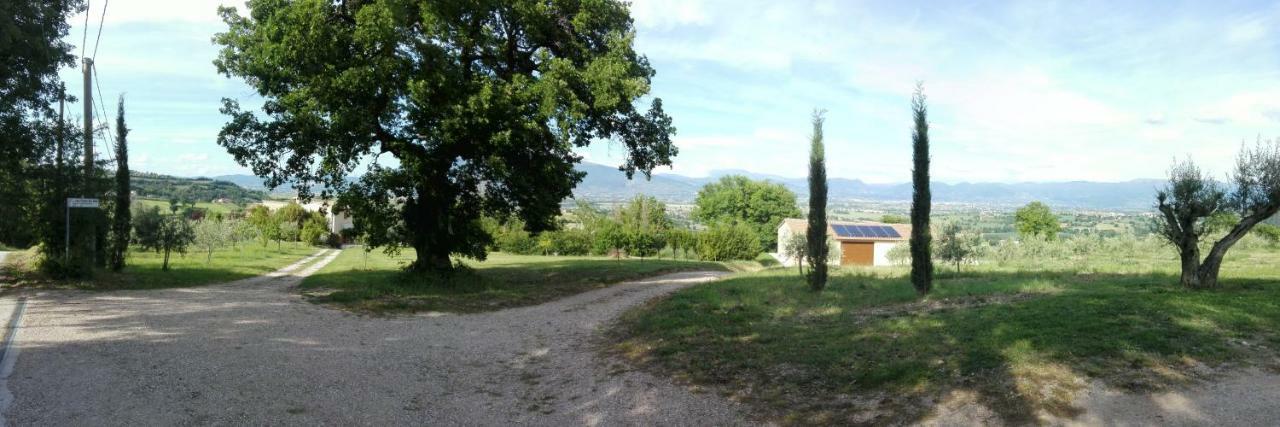Colle Della Pace
